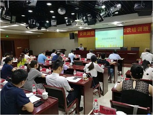 1607410145388576.jpg 163.jpg