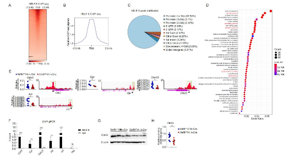 1635928340836401.png image.png