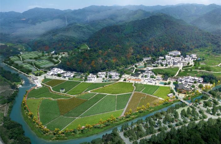 乡村振兴培训