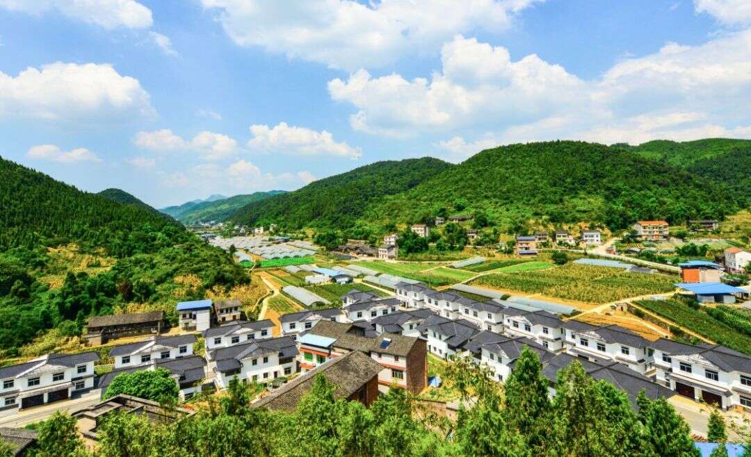 脱贫攻坚与乡村振兴培训