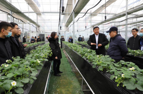 全省现代高效农业新旧动能转换专题培训班在山东师范大学开班