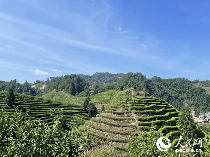 1663740541469715.jpg MAIN202209210845000460026473396.jpg