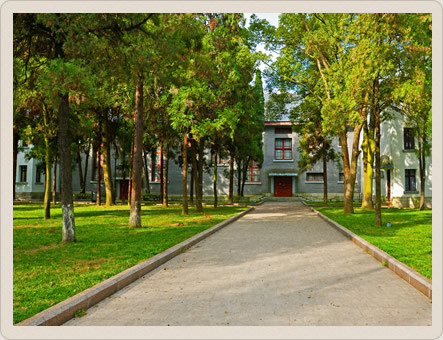 校内实景_林间小路