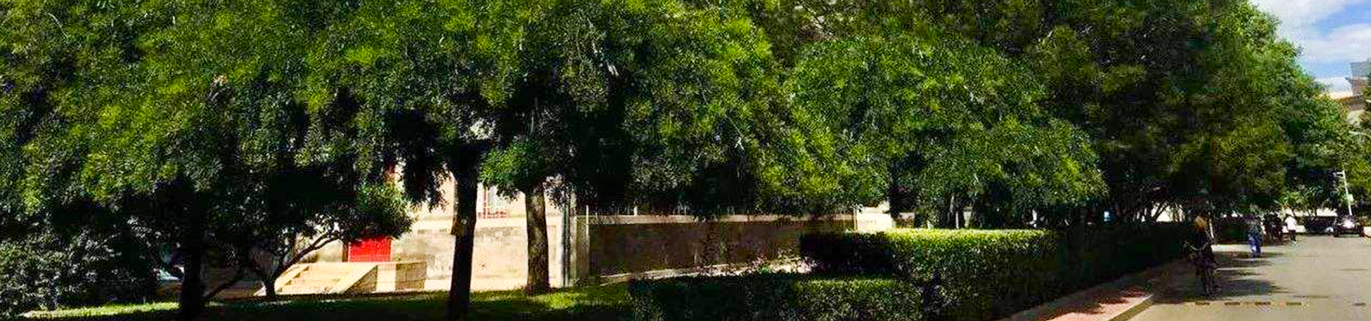 中央民族大学干部培训