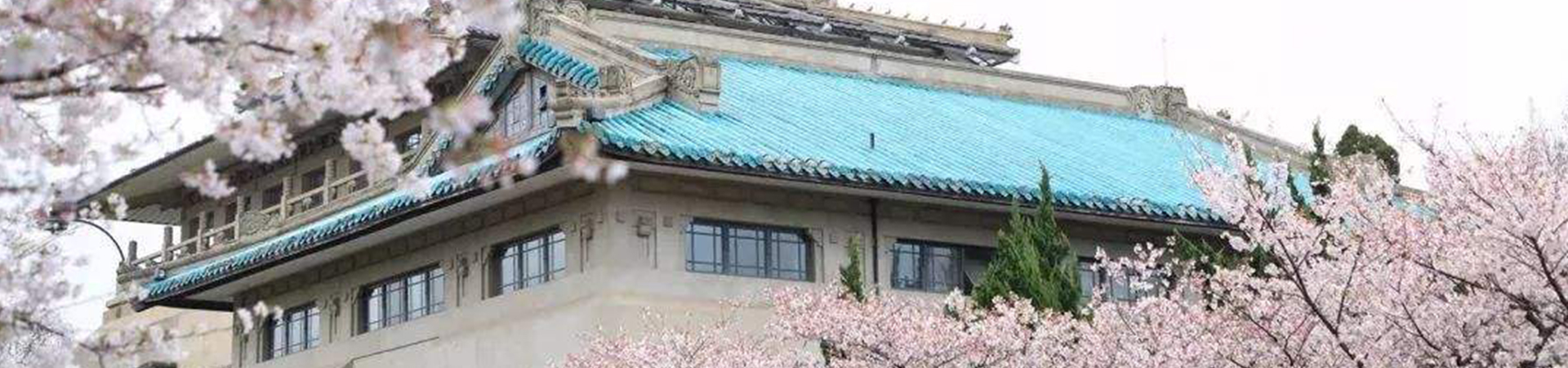 武汉大学干部培训