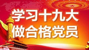 党员公务人员在河北公务人员网络学院学习后的心得