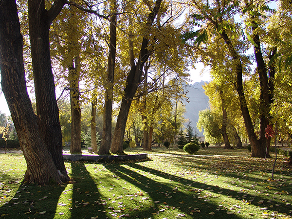 西藏大学河坝林校区后花园