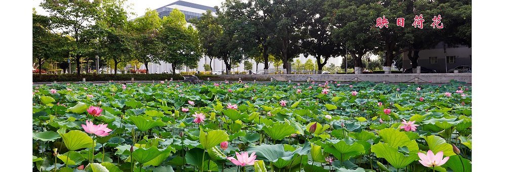 广西大学干部培训