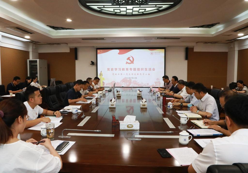 四川大学党政办党支部党史学习教育专题组织生活会