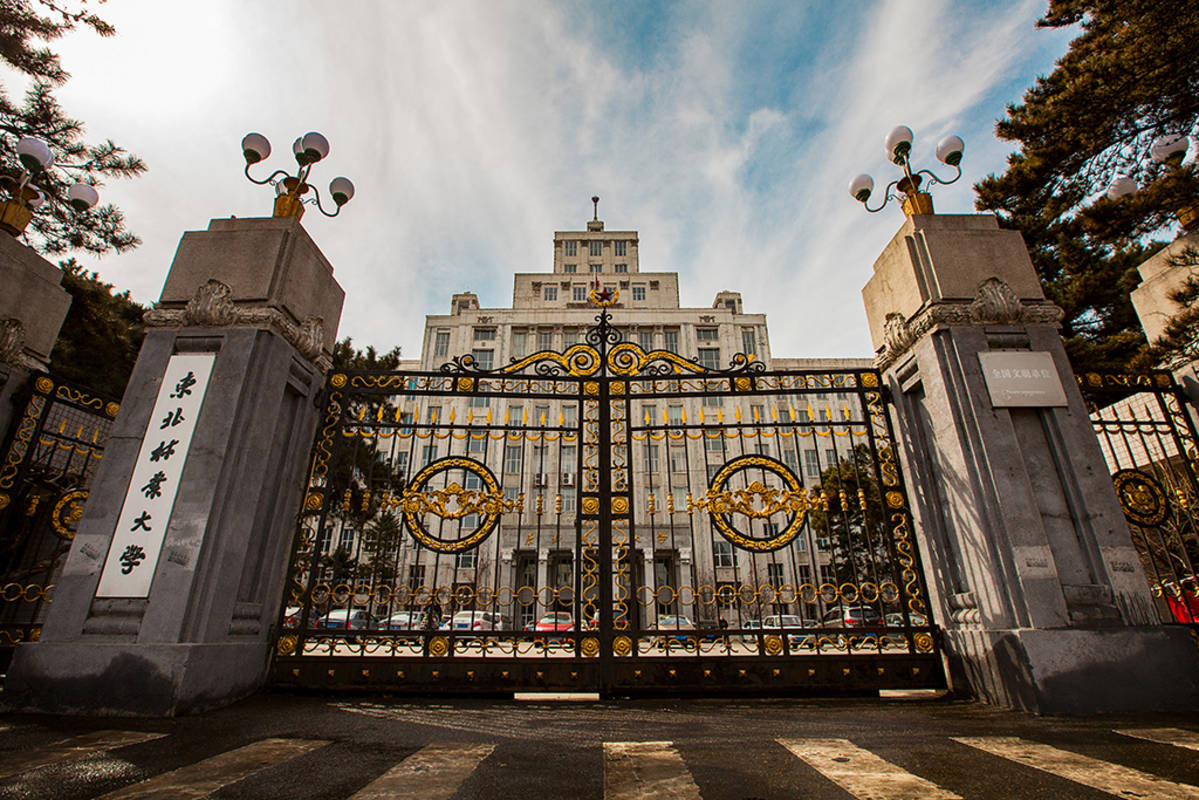 学党史 办实事 |东北林业大学举办高等教育教学成果奖培育与申报线上专题培训